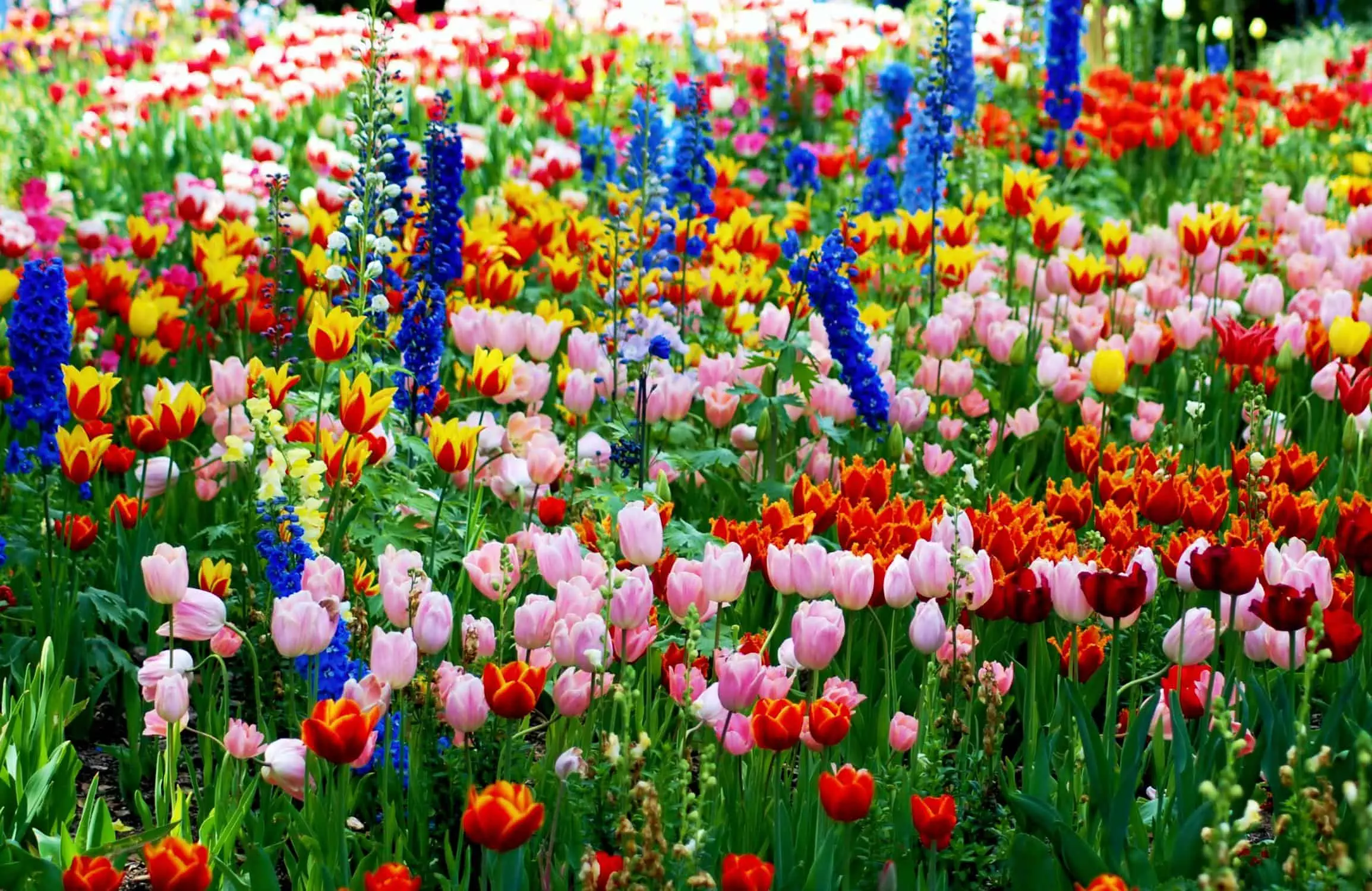 Changes in Taxes and Benefits from Spring Budget 2024 - AccounTax Zone
